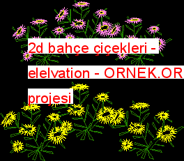 2d bahçe çiçekleri - elelvation