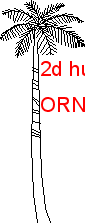2d hurma - yükseklik Autocad Çizimi