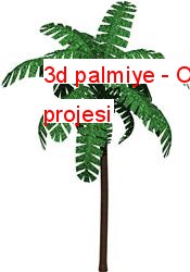 3d palmiye