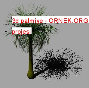 3d palmiye