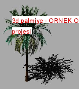 3d palmiye Autocad Çizimi