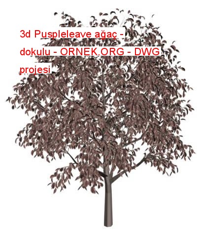 3d Puspleleave ağaç - dokulu Autocad Çizimi