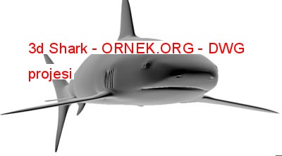 3d Shark Autocad Çizimi