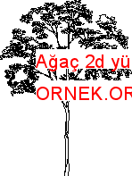 Ağaç 2d yükseklik Autocad Çizimi