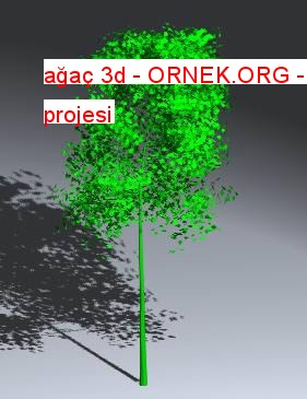 ağaç 3d Autocad Çizimi