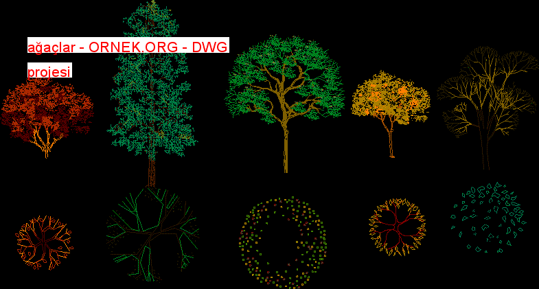 ağaçlar Autocad Çizimi