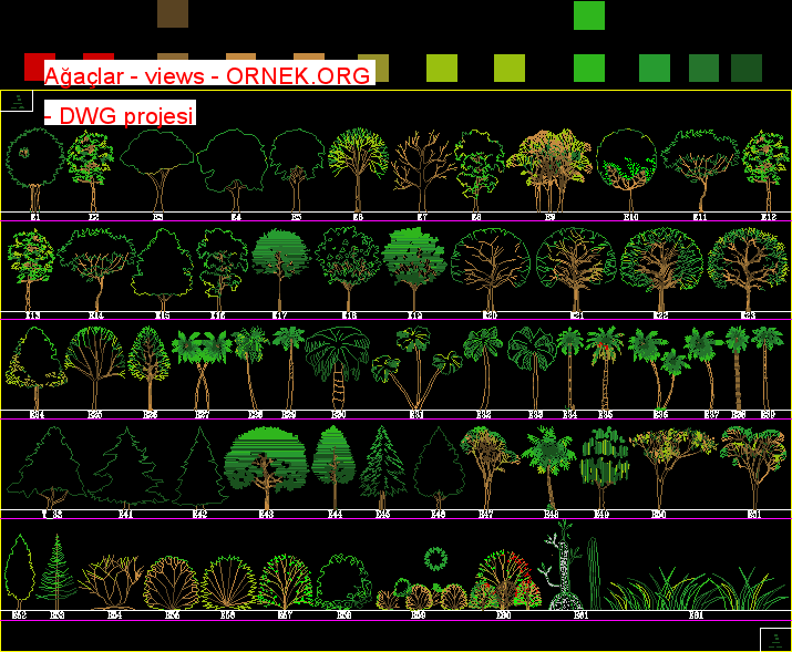 Ağaçlar - views Autocad Çizimi