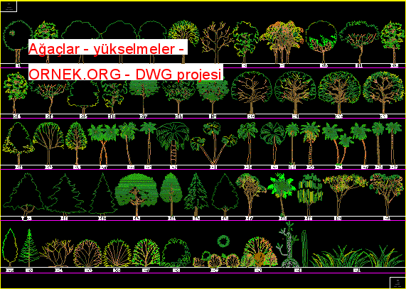 Ağaçlar - yükselmeler Autocad Çizimi