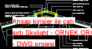 Ahşap kirişler ile çatı sırtı Skylight Autocad Çizimi