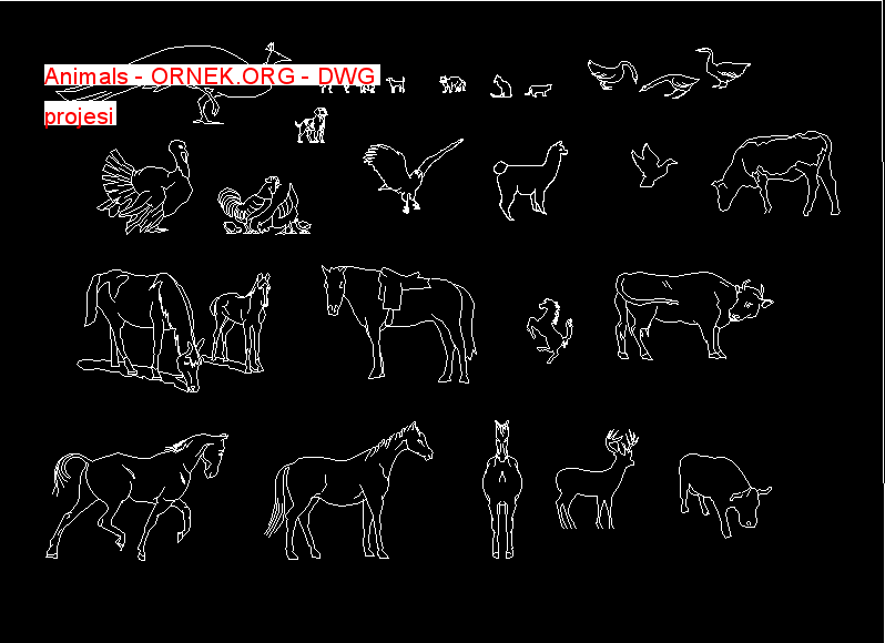 Animals Autocad Çizimi