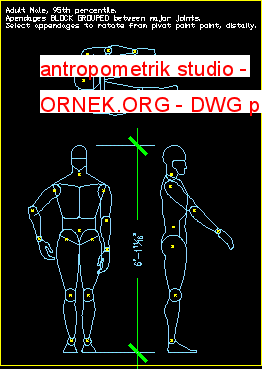 antropometrik studio