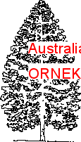Australian araucaria Autocad Çizimi