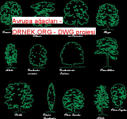 Avrupa ağaçları Autocad Çizimi