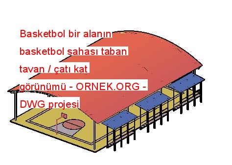 Basketbol bir alanın basketbol sahası taban tavan - çatı kat görünümü