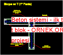 Beton sistemi - ilk tesisinde t blok Autocad Çizimi