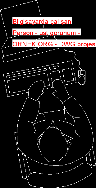 Bilgisayarda çalışan Person - üst görünüm Autocad Çizimi
