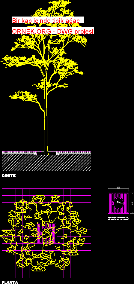 Bir kap içinde tipik ağaç Autocad Çizimi