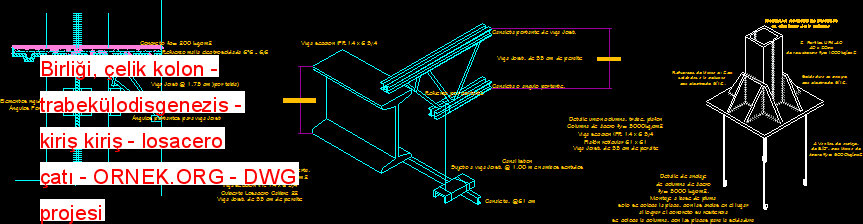 Birliği, çelik kolon - trabekülodisgenezis - kiriş kiriş - losacero çatı Autocad Çizimi