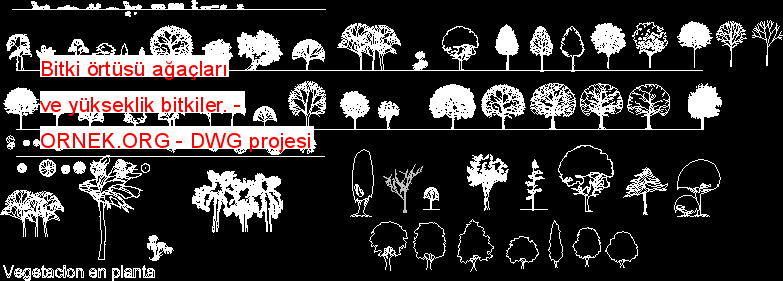 Bitki örtüsü ağaçları ve yükseklik Planlar. Autocad Çizimi