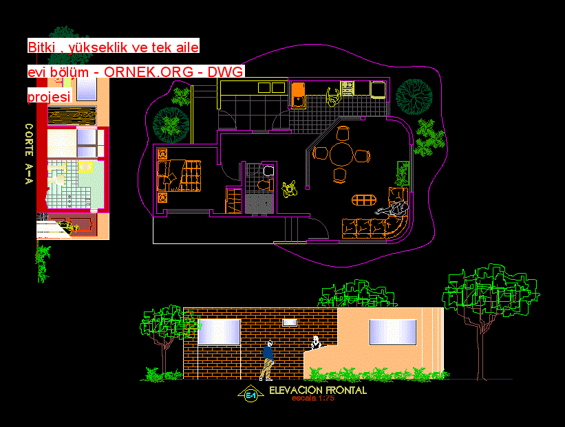 Bitki , yükseklik ve tek aile evi bölüm Autocad Çizimi