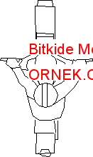 Bitkide Motorcyclist