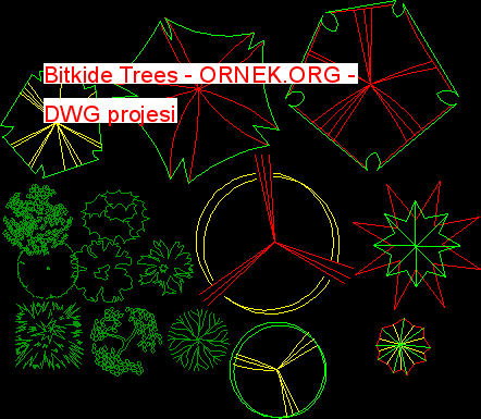 Bitkide Trees