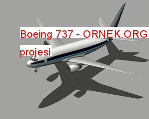 Boeing 737 Autocad Çizimi