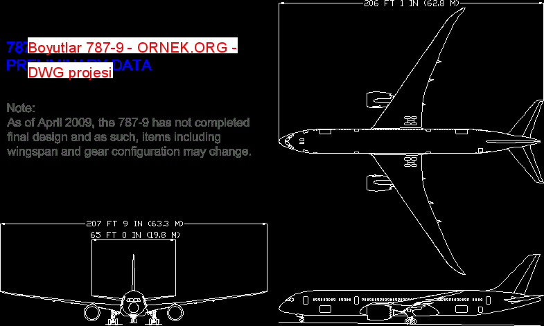 Boyutlar 787-9 Autocad Çizimi