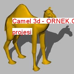 Camel 3d Autocad Çizimi