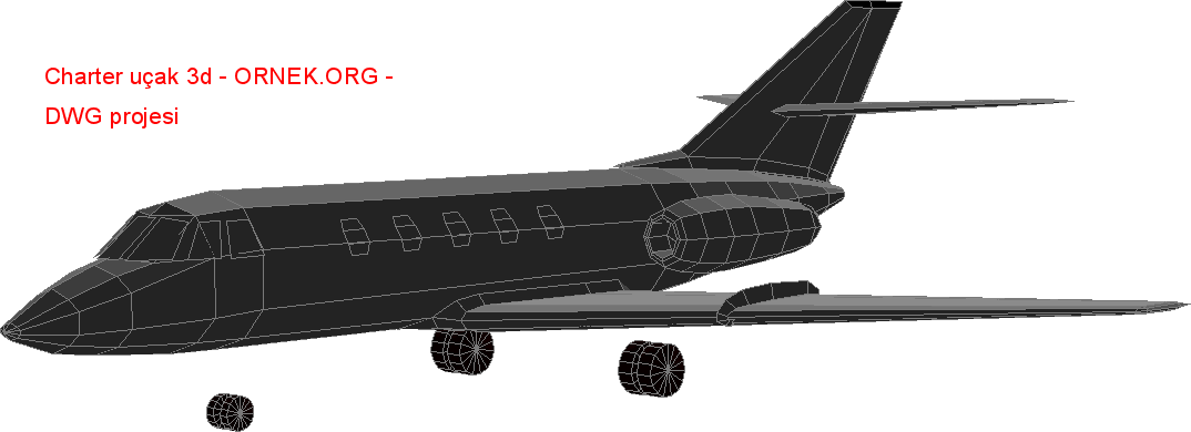 Charter uçak 3d Autocad Çizimi