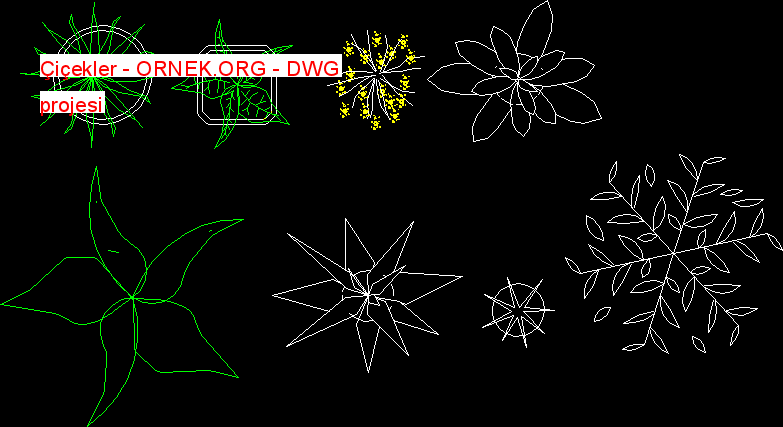 Çiçekler Autocad Çizimi
