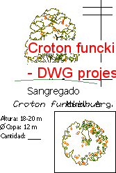 Croton funckianu Autocad Çizimi