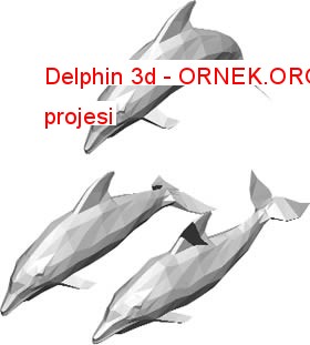 Delphin 3d Autocad Çizimi