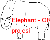 Elephant Autocad Çizimi