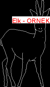 Elk Autocad Çizimi