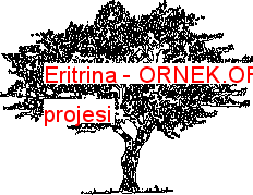 Eritrina