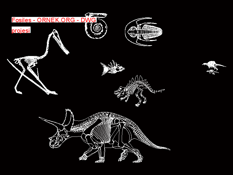 Fosiles Autocad Çizimi