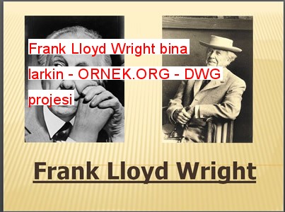 Frank Lloyd Wright bina larkin Autocad Çizimi