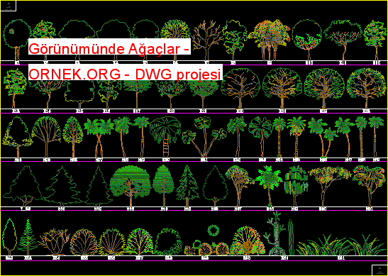 Görünümünde Ağaçlar Autocad Çizimi