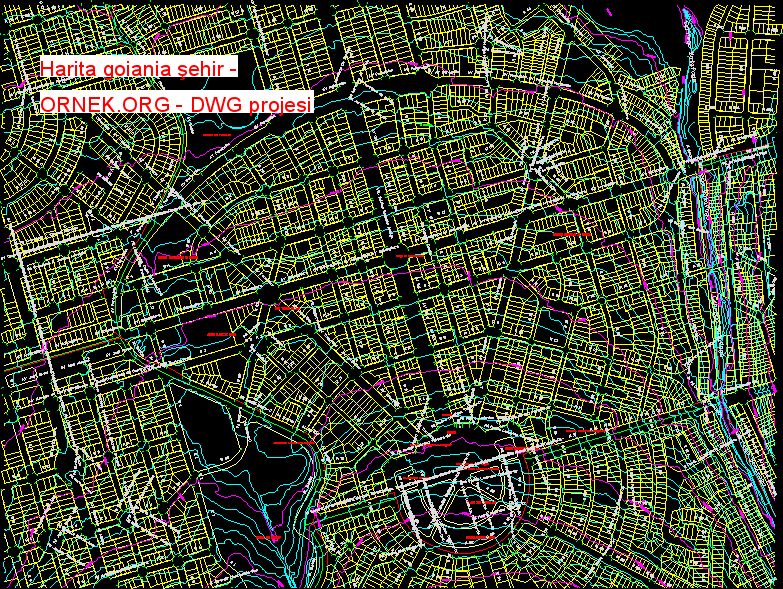 Harita goiania şehir Autocad Çizimi