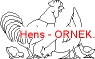 Hens