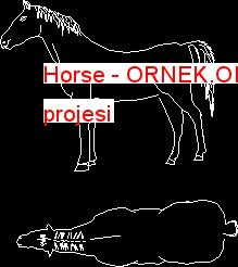 Horse Autocad Çizimi