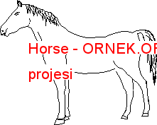 Horse Autocad Çizimi
