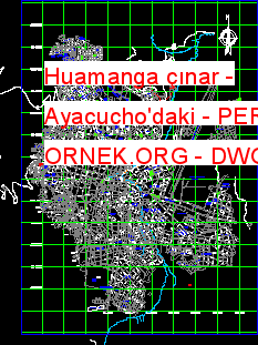 Huamanga çınar - Ayacucho'daki - PERU