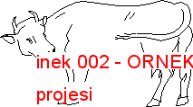 inek 002