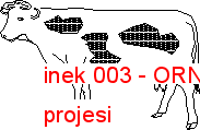 inek 003