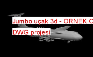 Jumbo uçak 3d Autocad Çizimi