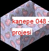 kanepe 048