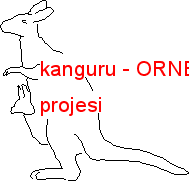kanguru Autocad Çizimi