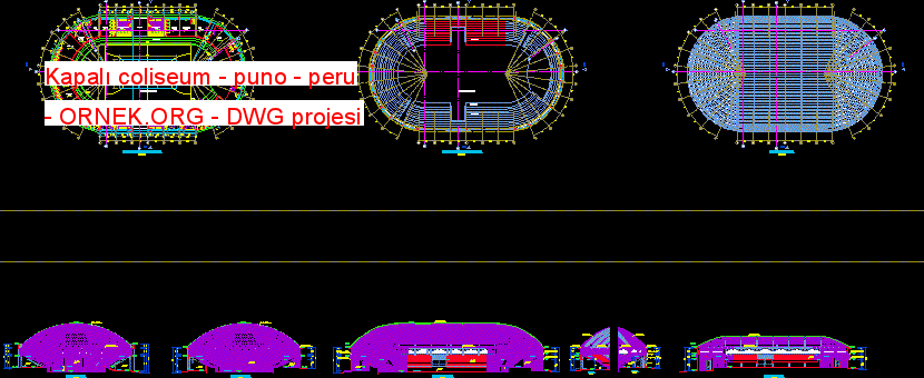 Kapalı coliseum - puno - peru Autocad Çizimi